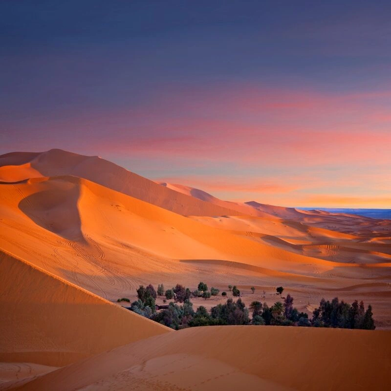 Zuid-Marokko 4x4 Tour & Club Coralia Marrakech 4* Verlenging