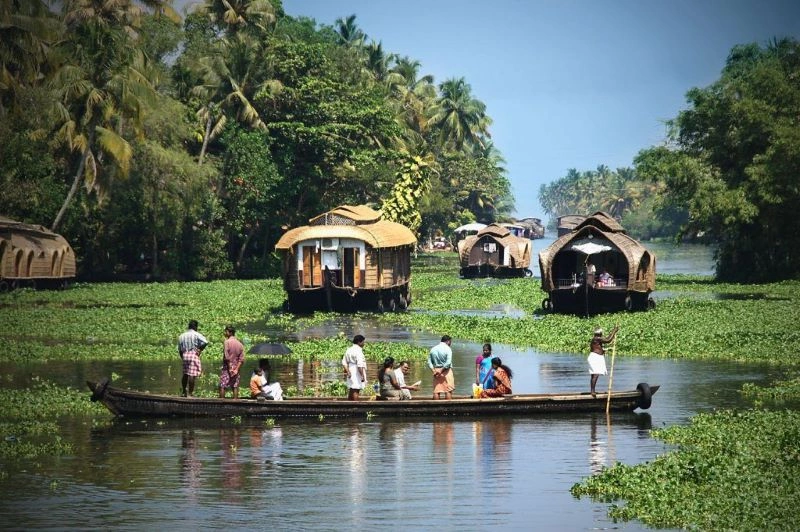 501846_CIRCUIT_PARFUM_DU_SUD_DE_L_INDE_-_DE_CHENNAI_A_COCHIN.jpg
