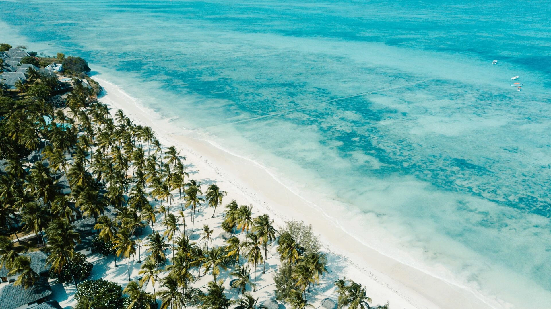 Karafuu_Beach_9.jpg