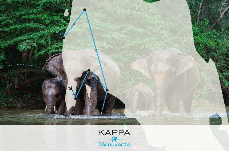Kappa Circuit: De Parels van het Zuiden & Kappa Club Thai Beach Resort 5*
