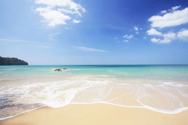 3670bacefe758a8ce204ede550369b06_(800x533).jpg