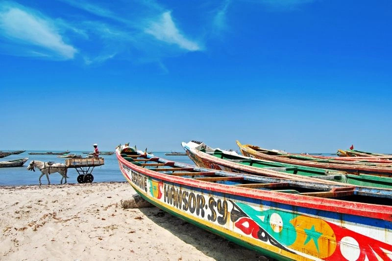 In het hart van Senegal en verblijf in de Kappa Club Royal Horizon Baobab 4*nl