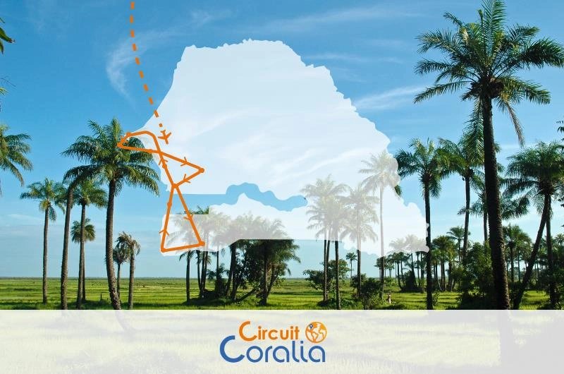 Authentieke Casamance Tour & Uitbreiding Kappa Club Royal Horizon Baobab 4*