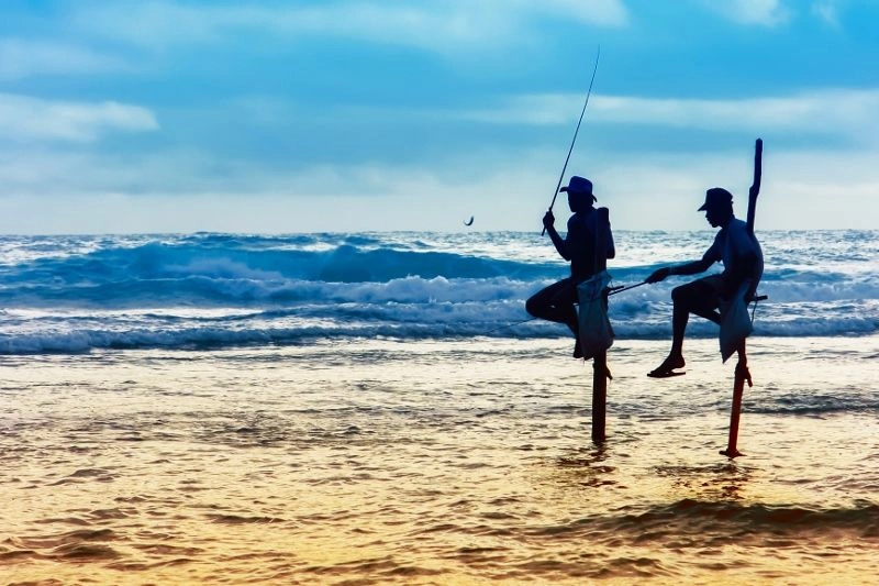 242258982.jpg