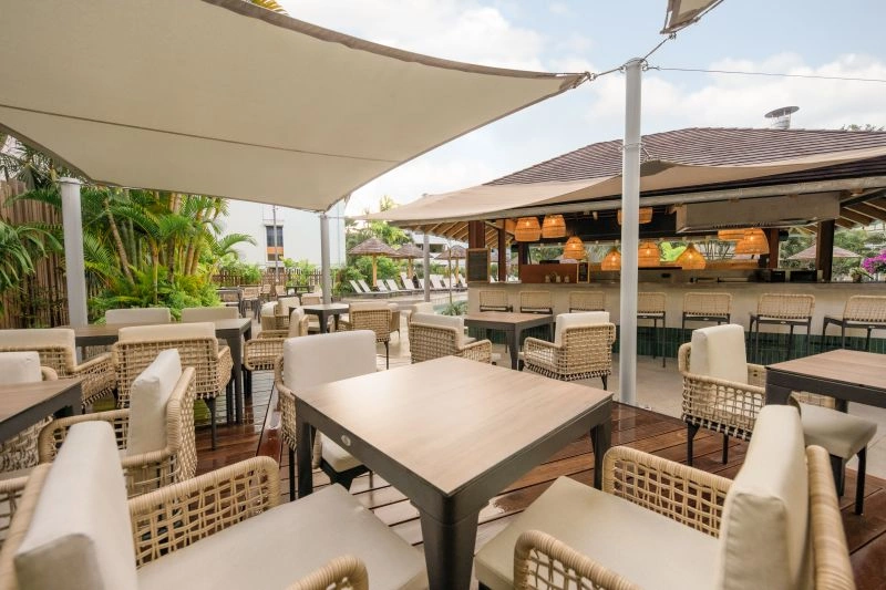Palm_Bar_4.jpg