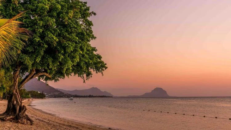 plages.jpg