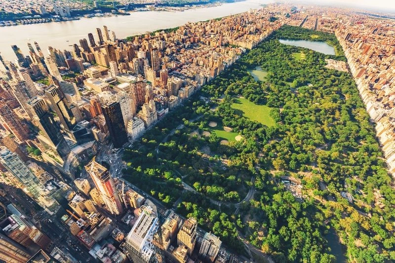 De schatten van New York