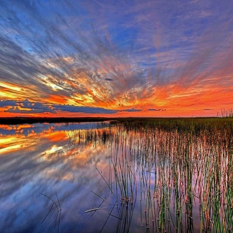 FLORIDA.jpg