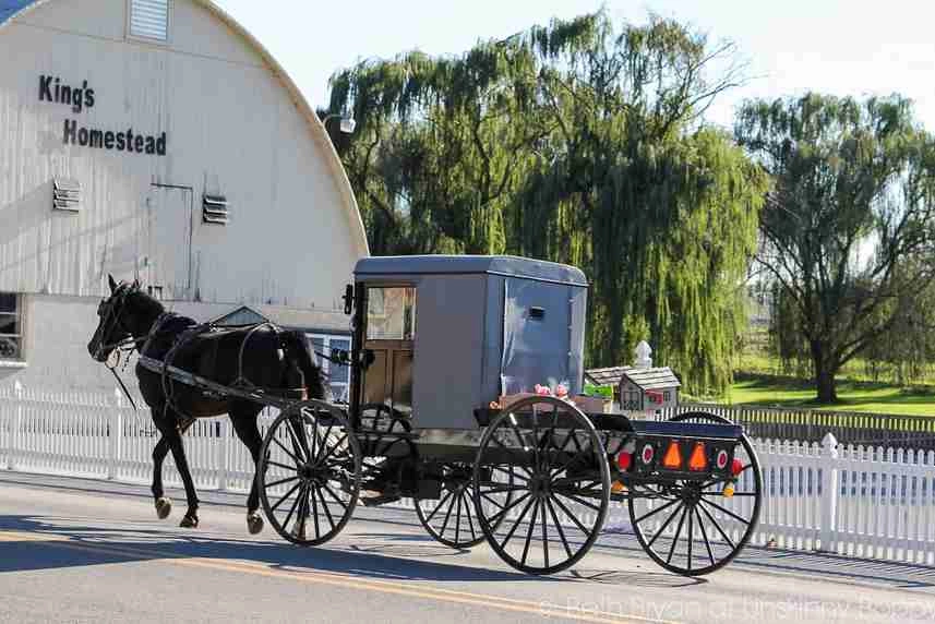 J7_PAYS_AMISH.jpg