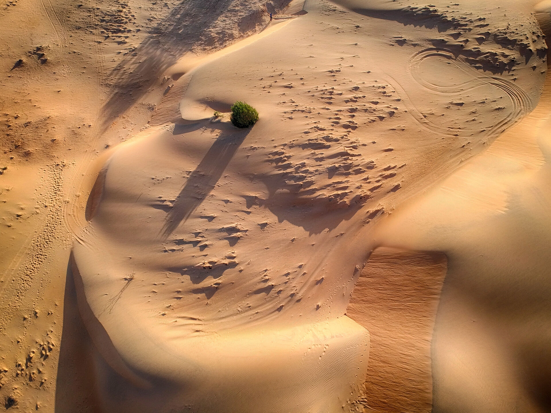 desert_Lompoul_AdobeStock_265444928.jpeg