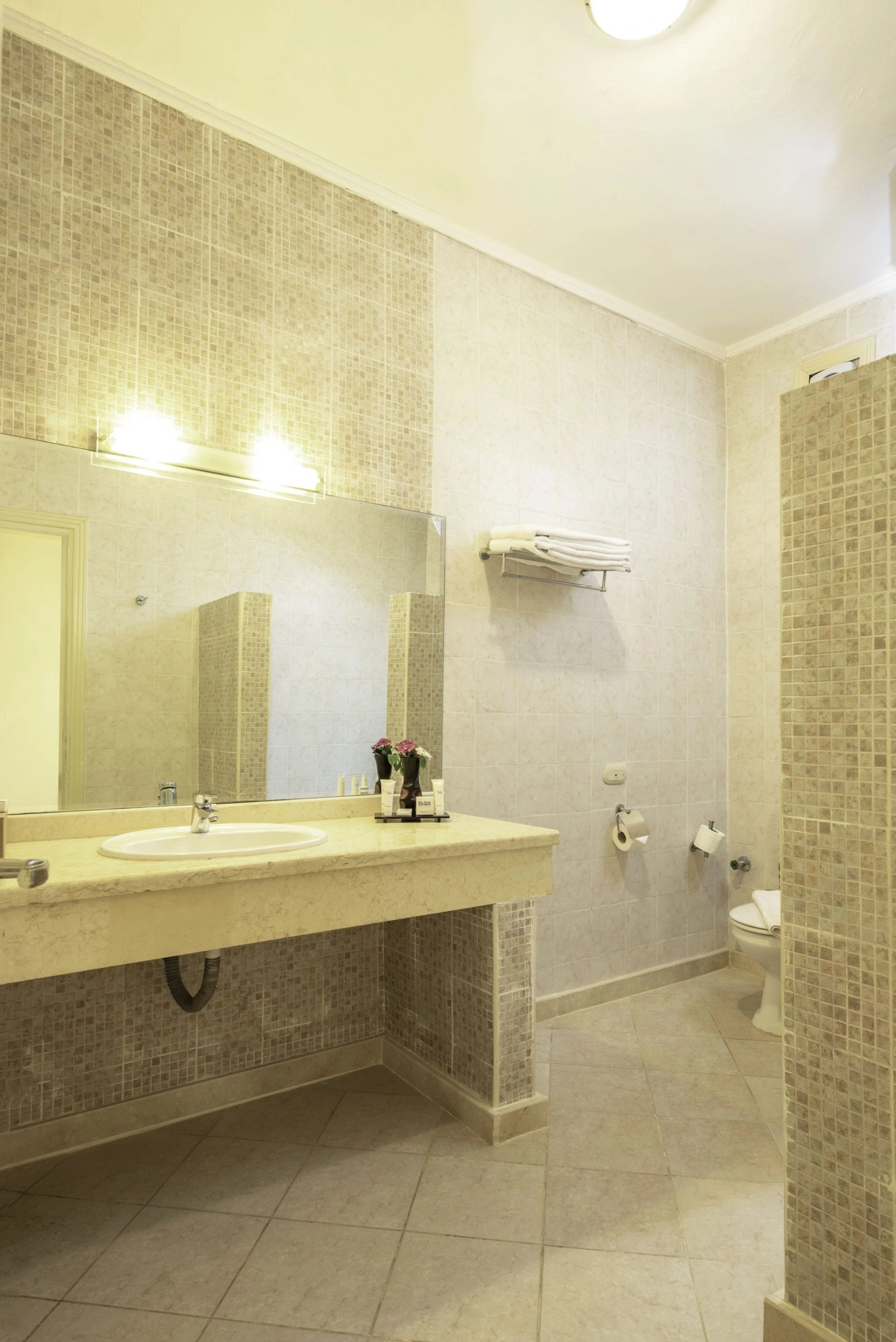 thethreecorners_redsea_hurghada_sunny_beach_resort_grand_room_bathroom-scaled.jpg