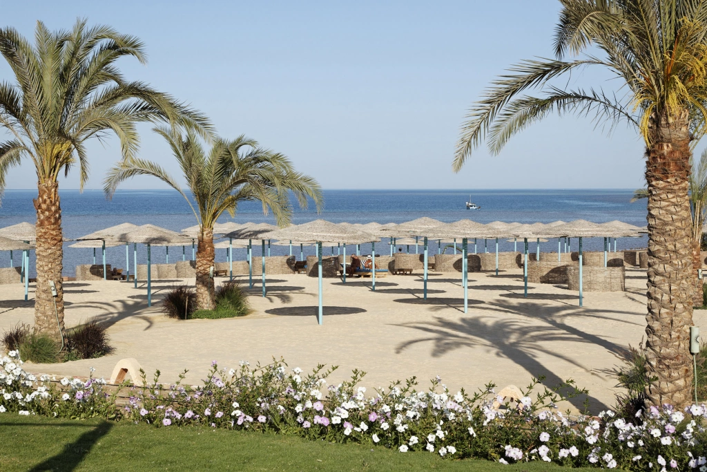 Wonderen van Egypte - 16D/14N Hurghada met het Three Corners Sunny Beach Resort 4*
