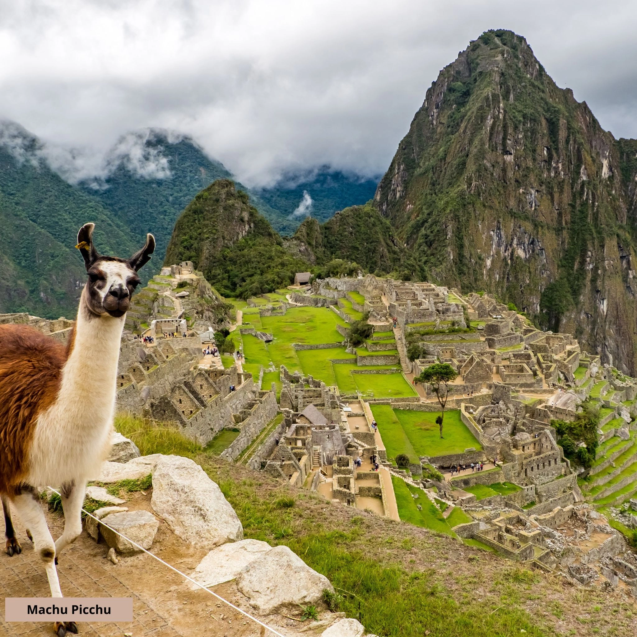 machu_picchu_3.jpg
