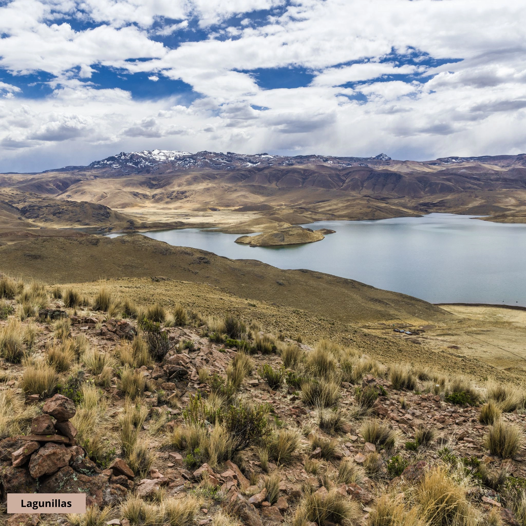 lagunillas.jpg