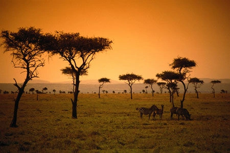 Safari Tsavo East 3D/2N en verblijf in Kappa Club AHG Lion Beach Resort & Spa 4*nl