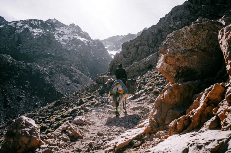 Mount Toubkal Climb Tour & Club Eldorador Kenzi Agdal Medina 5*