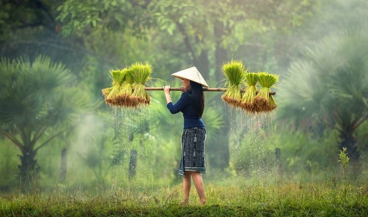 Vietnam & Cambodja 2026