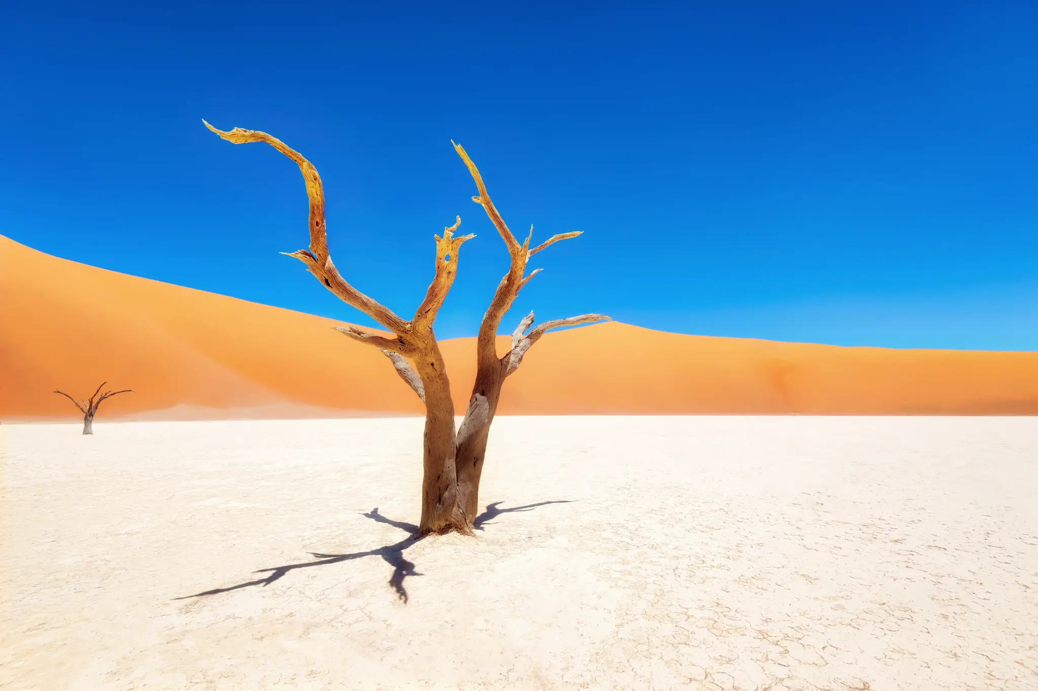 AdobeStock_210082294.jpg