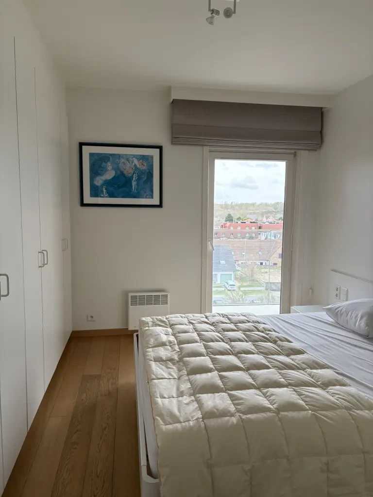ZEEZICHT + GROENDIJK -  Royaal hoekappartement met prachtig zeezicht & dijk van Nieuwpoort 