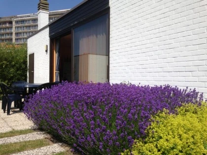 Vakantiewoning te huur in Westende aan Zee