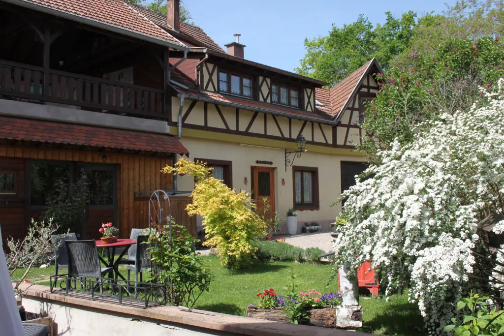 ELZACISCH HUIS GITE DE FRANCE IN DE ELZAS TUSSEN COLMAR EN STRAATSBURG